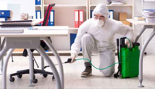 Office pest control